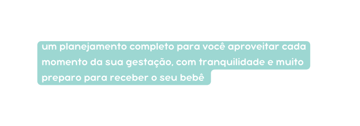 um planejamento completo para você aproveitar cada momento da sua gestação com tranquilidade e muito preparo para receber o seu bebê